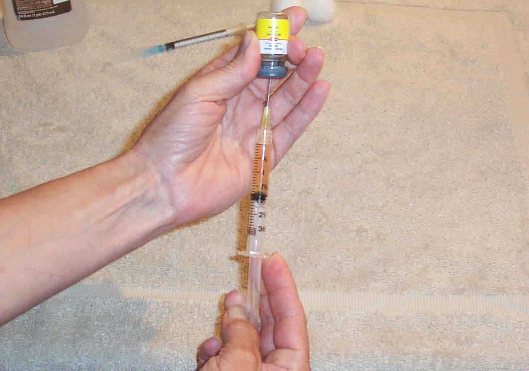 Draw 3cc of re-hydrated Mareks Vaccine